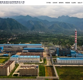 国投金城冶金有限责任公司