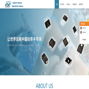 广东深科（深圳深科）电子有限公司