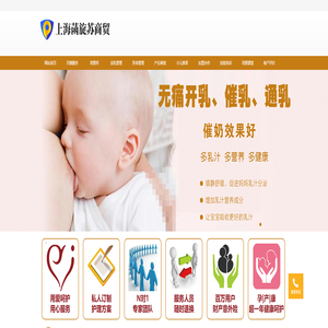 上海翼霖虹母婴服务