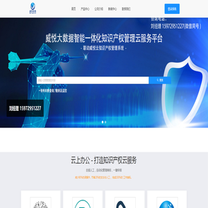 武汉威悦信息科技有限公司