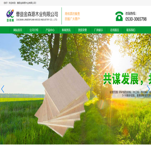 曹县金森源木业有限公司|金基板材|吉祥果生态板|庄寨生态板生产厂家
