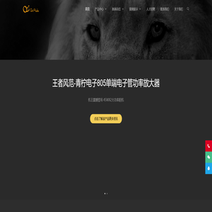 中山市青柠电子有限公司