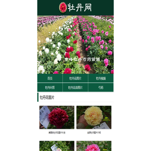 牡丹网 - 牡丹花图片、视频分享网站！