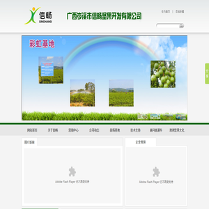 岑溪市信畅坚果开发有限公司