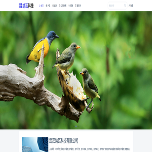 武汉纳瓦科技有限公司 | 武汉纳瓦科技有限公司